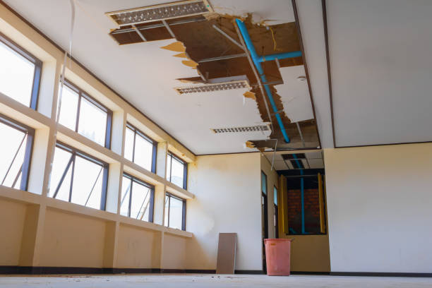 Best Emergency water damage restoration  in Metropolis, IL