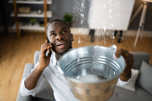 Best Carpet water damage restoration  in Metropolis, IL
