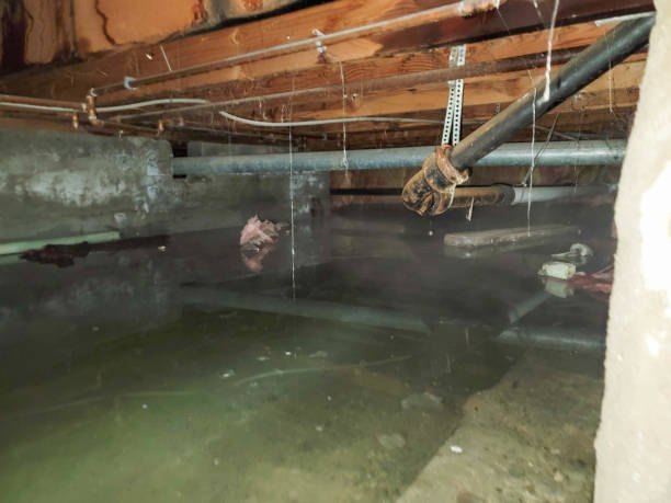  Metropolis, IL Water damage restoration Pros