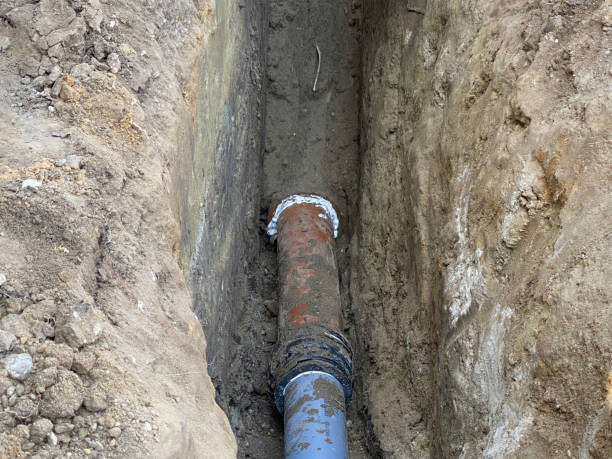 Best Basement water damage restoration  in Metropolis, IL