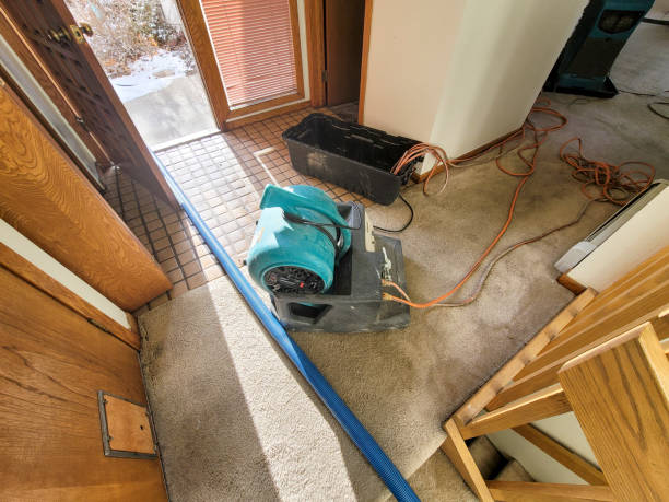 Best Flood restoration services  in Metropolis, IL