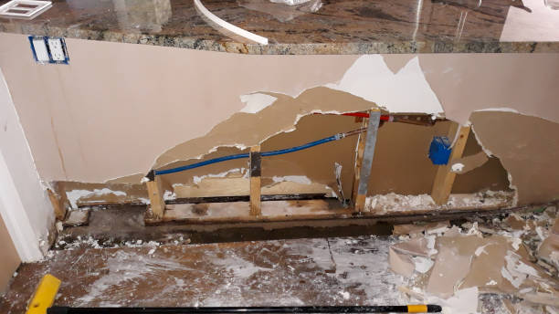 Best Flood restoration services  in Metropolis, IL