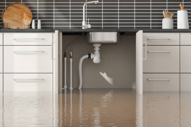 Best Sewage cleanup and water damage restoration  in Metropolis, IL
