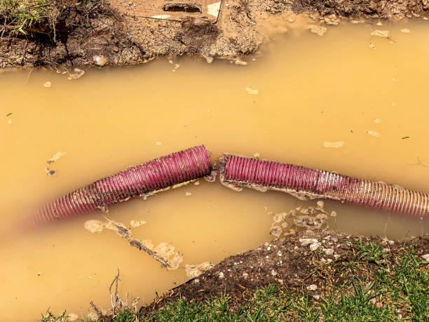 Best Emergency water damage restoration  in Metropolis, IL